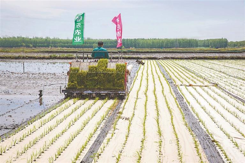 生物质碳用途_肥料化秸秆还田_秸秆综合利用