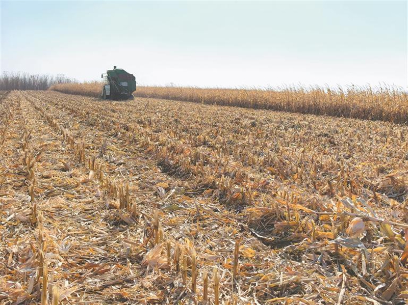 肥料化秸秆还田_生物质碳用途_秸秆综合利用