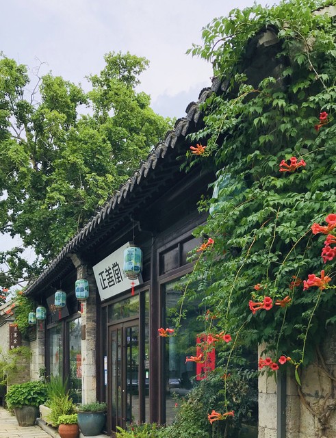 江苏小众景点推荐_江苏旅游攻略_无锡到苏州园区