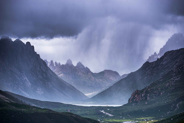 藏民生态保护意识_年保玉则黑颈鹤保护_年保玉则生态环境保护协会