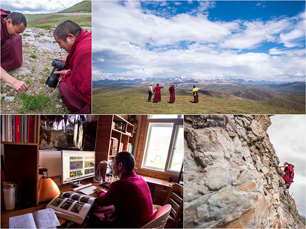 年保玉则生态环境保护协会_年保玉则黑颈鹤保护_藏民生态保护意识