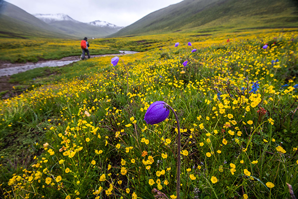 年保玉则生态环境保护协会_年保玉则黑颈鹤保护_藏民生态保护意识