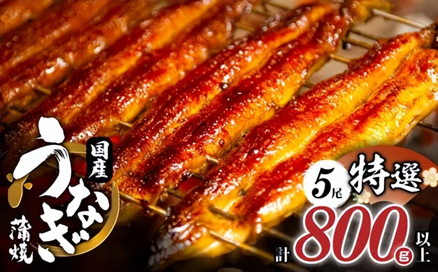 故乡税 日本 特产_秋叶原故乡税 回礼_日本源泉岁税收票回国给钱吗