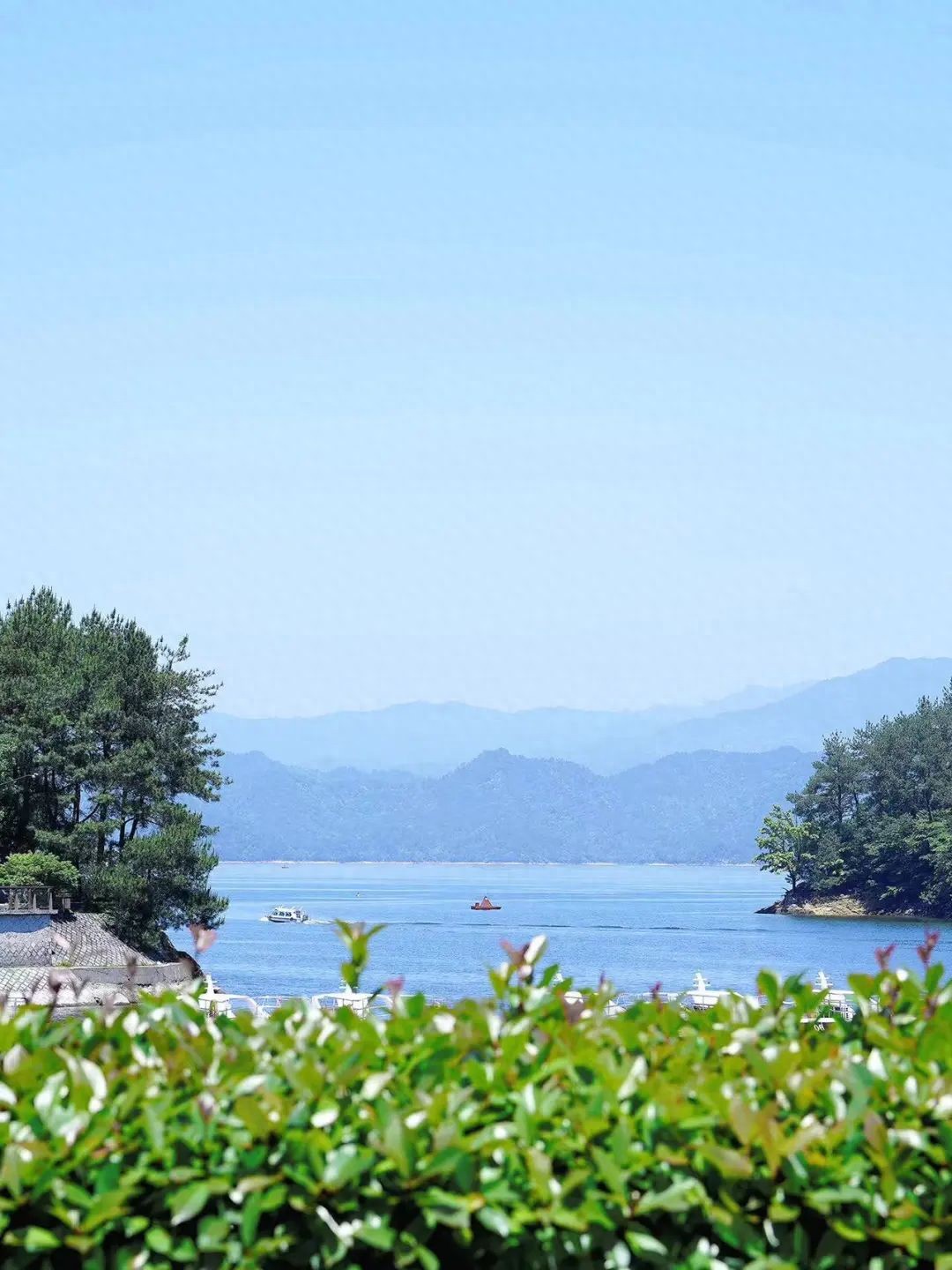 淳安乡村振兴产业模式_淳安冬闲田订单农业案例_海亮生态农业集团