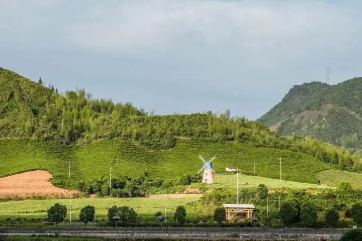 海亮生态农业集团_淳安乡村振兴产业模式_淳安冬闲田订单农业案例