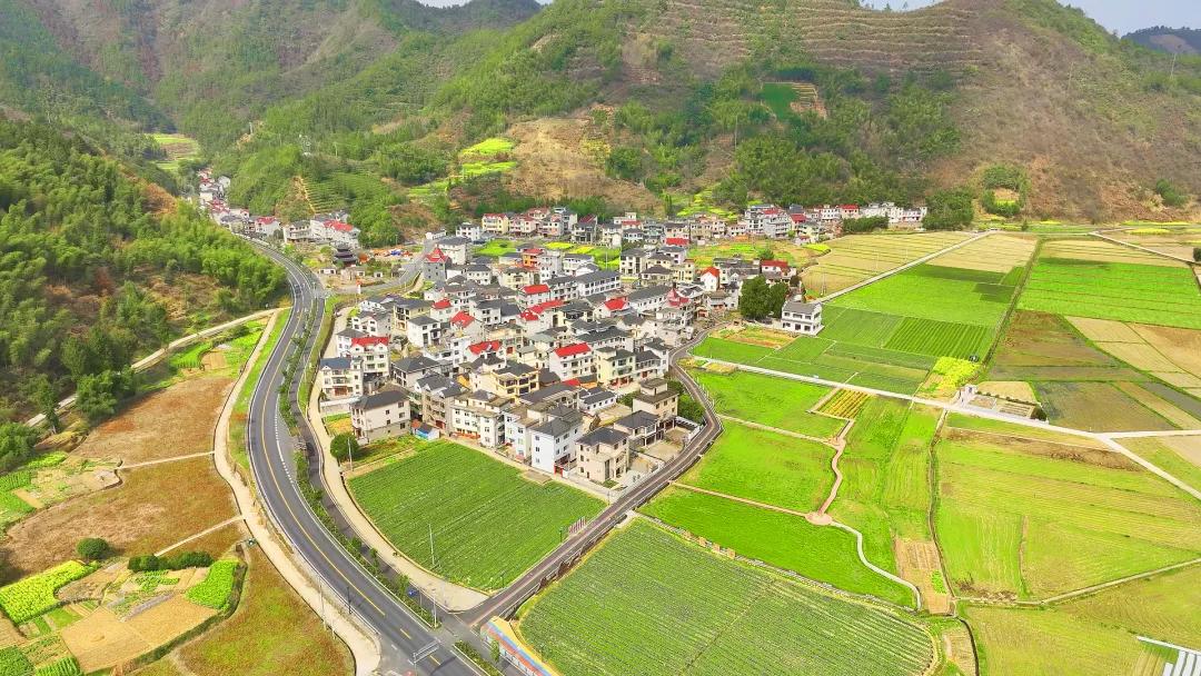 淳安乡村振兴产业模式_淳安冬闲田订单农业案例_海亮生态农业集团