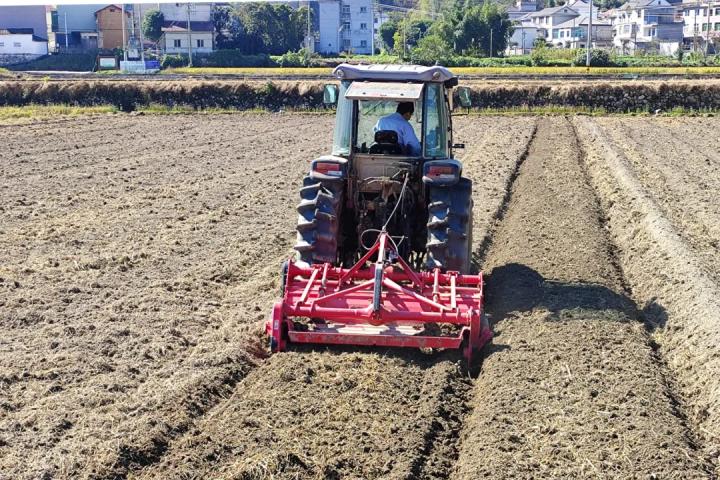 淳安冬闲田订单农业案例_淳安乡村振兴产业模式_海亮生态农业集团