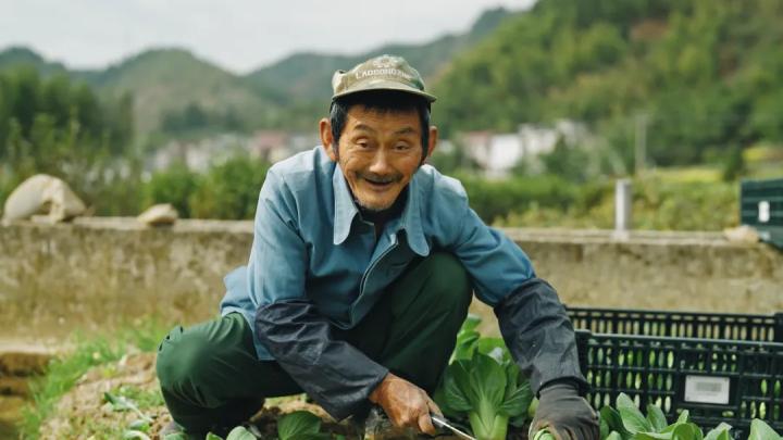 海亮生态农业集团_淳安冬闲田订单农业案例_淳安乡村振兴产业模式