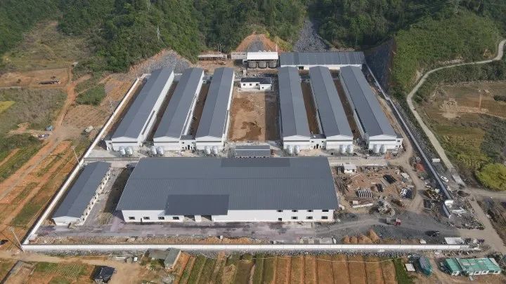 淳安乡村振兴产业模式_海亮生态农业集团_淳安冬闲田订单农业案例