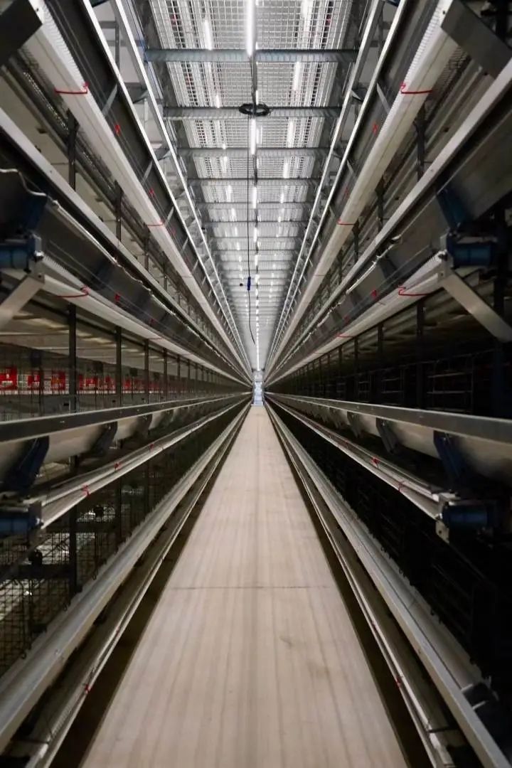 淳安乡村振兴产业模式_海亮生态农业集团_淳安冬闲田订单农业案例