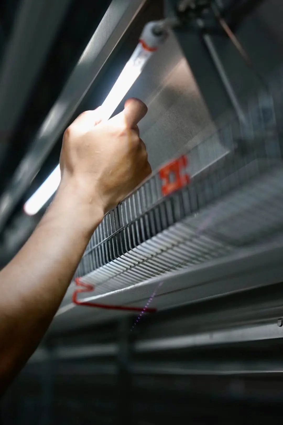 淳安乡村振兴产业模式_海亮生态农业集团_淳安冬闲田订单农业案例