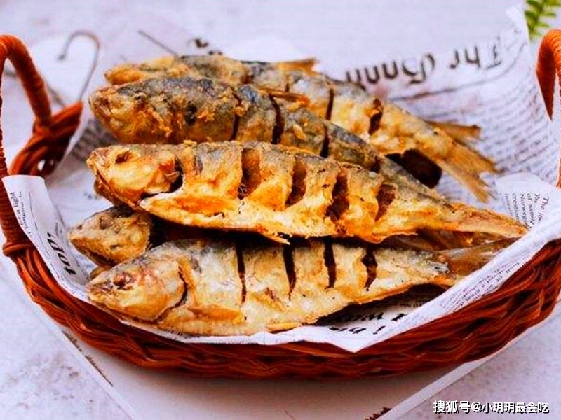 海鲫鱼营养价值淡水鱼的种类图片_海鲫鱼和淡水鲫鱼区别_海鲫鱼特点