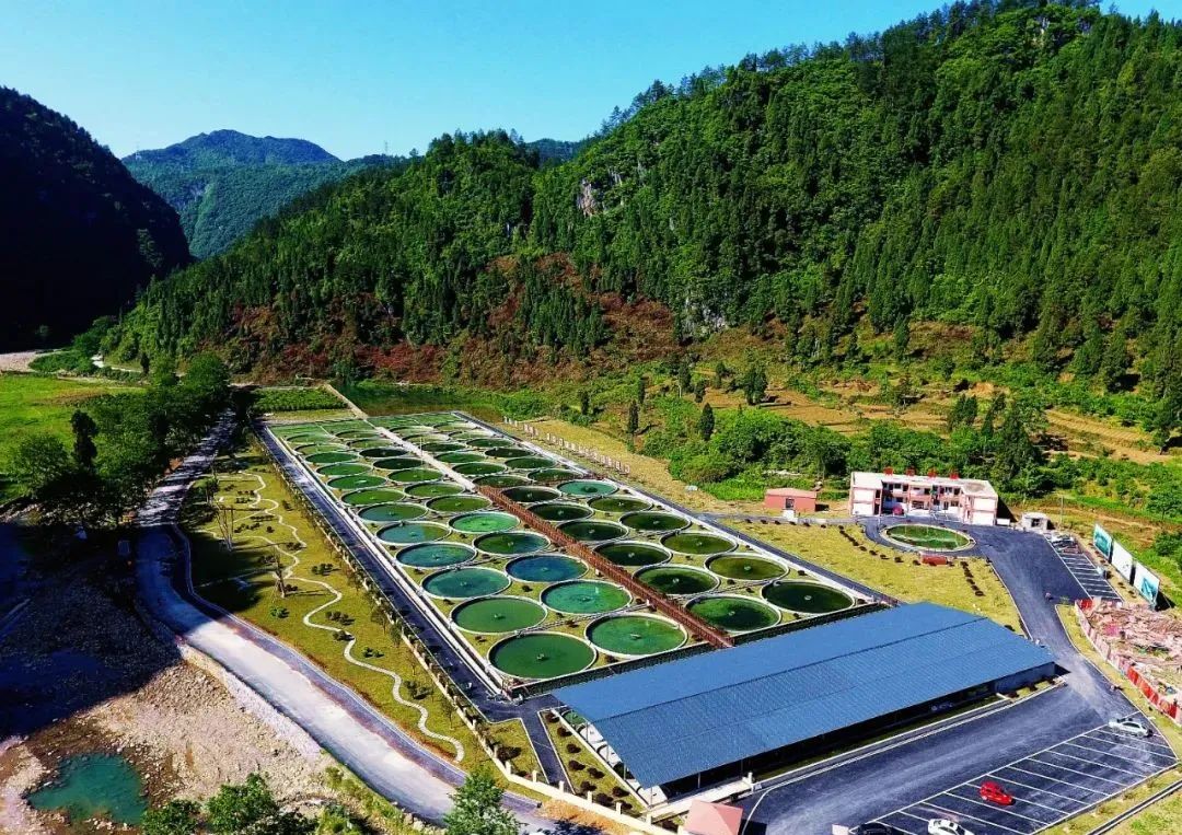 江口县生态产品价值实现机制_贵州省生态文明_江口县GEP核算平台搭建