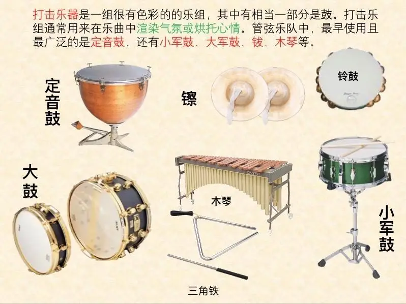乐器分类_中国乐器分类_乐器培训班装修效果图