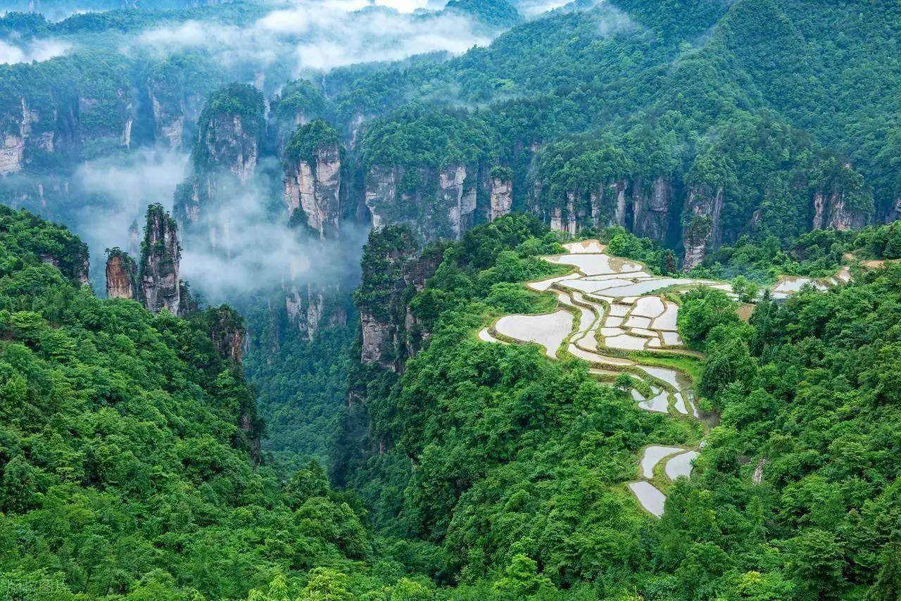 湖南旅游景点推荐_张家界国家森林公园攻略_湖南都市直播