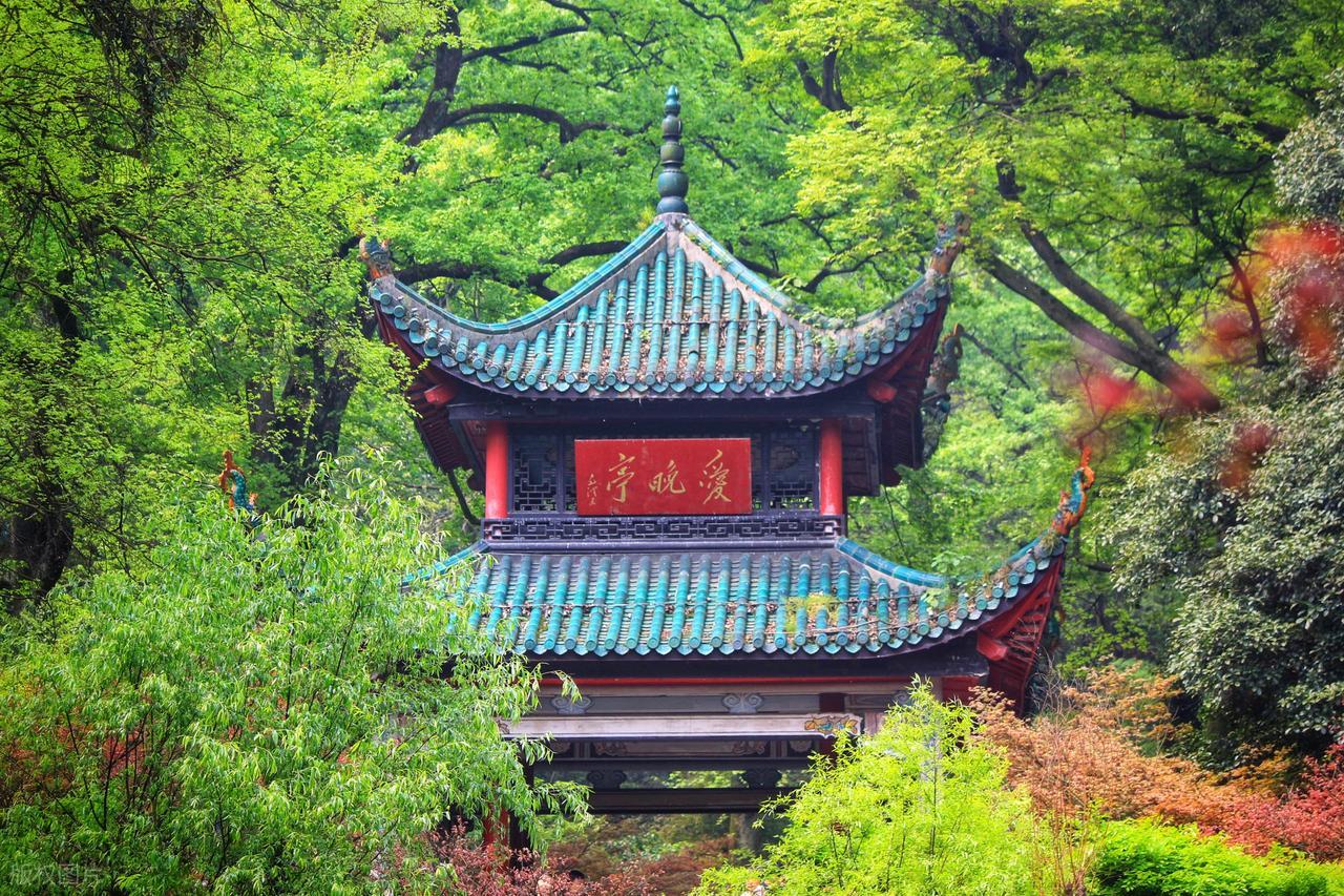 张家界国家森林公园攻略_湖南十大景点推荐_湖南都市直播