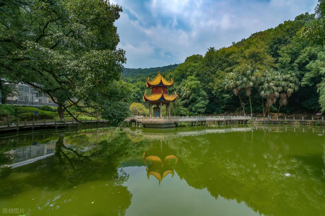 湖南十大景点推荐_湖南都市直播_张家界国家森林公园攻略
