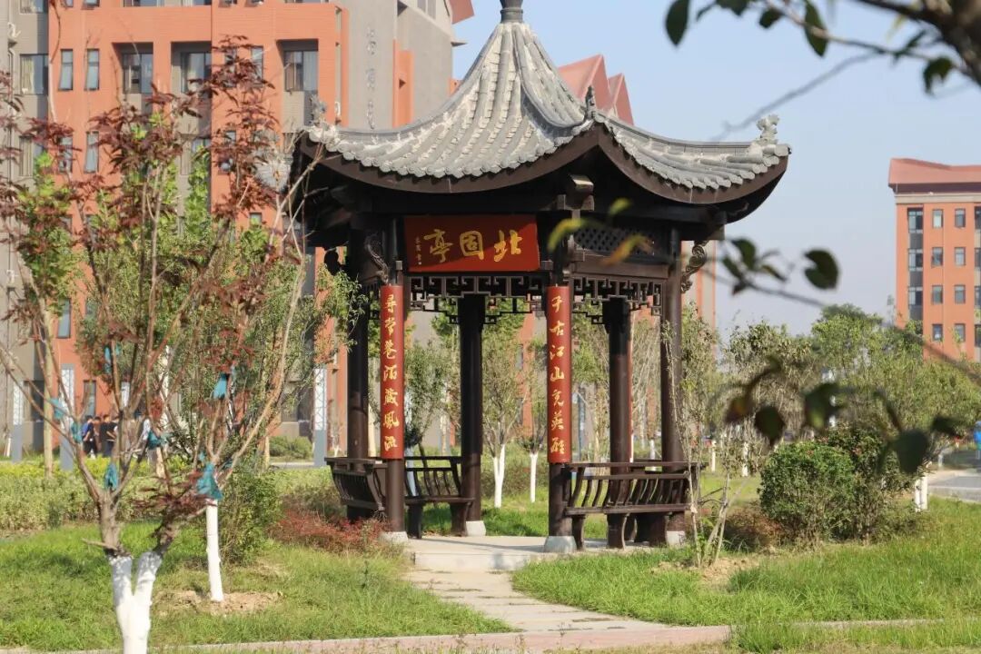 开封文化艺术职业学院分数线_开封职业学院单独考试招生章程_开封职业学院2026年单独考试招生政策