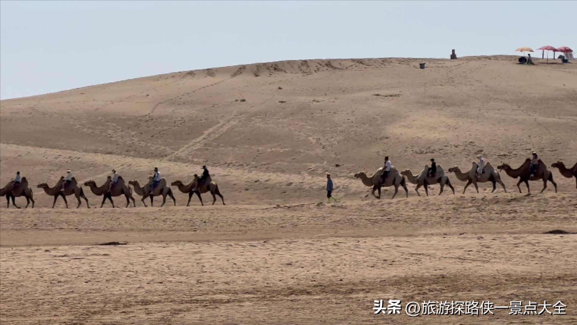 沙坡头VS沙湖旅游攻略_沙湖门票交通路线_宁夏沙湖生态旅游区门票