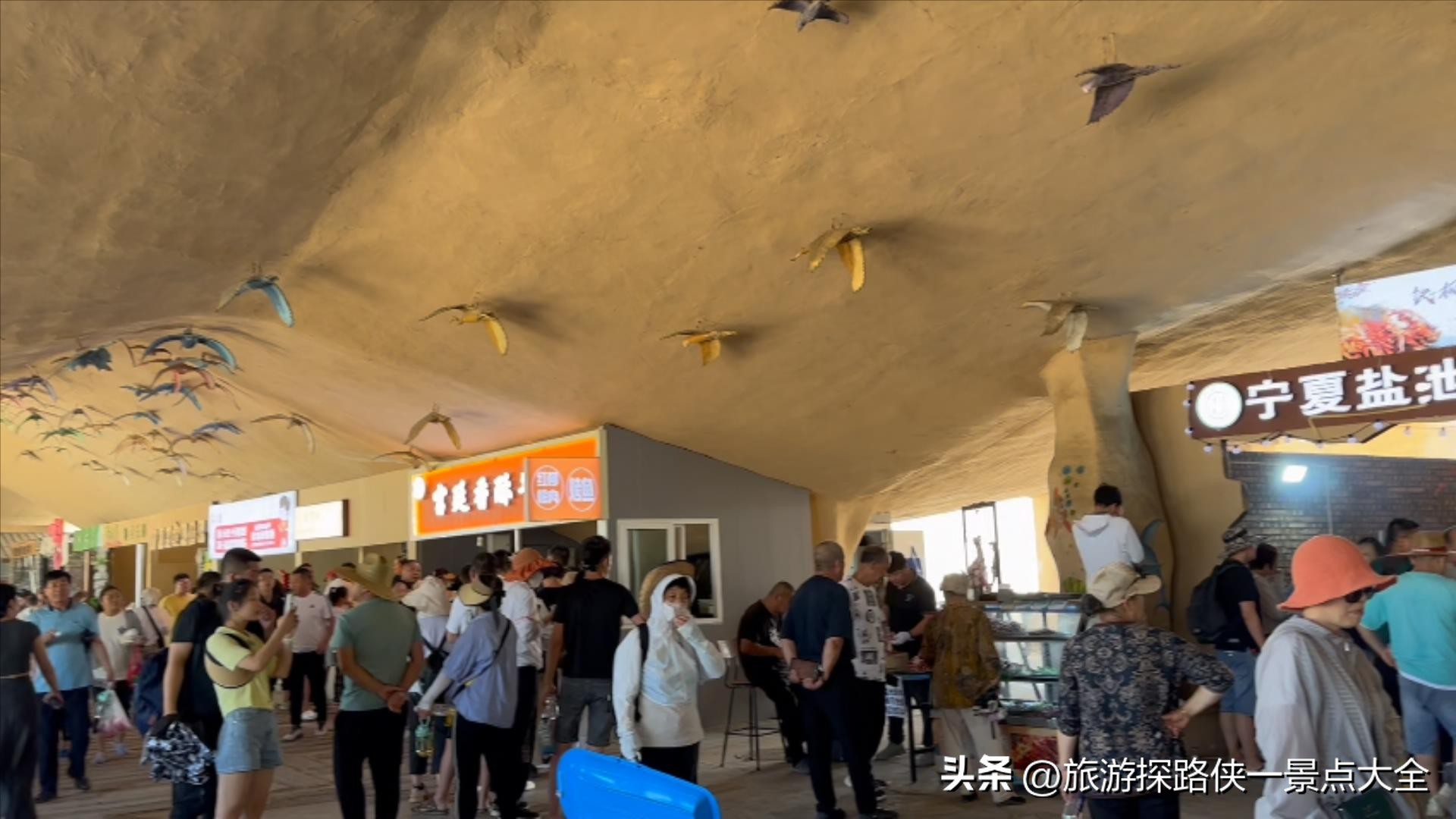 宁夏沙湖生态旅游区门票_沙坡头VS沙湖旅游攻略_沙湖门票交通路线