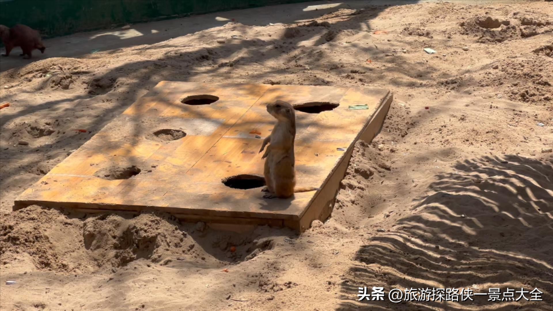 宁夏沙湖生态旅游区门票_沙湖门票交通路线_沙坡头VS沙湖旅游攻略