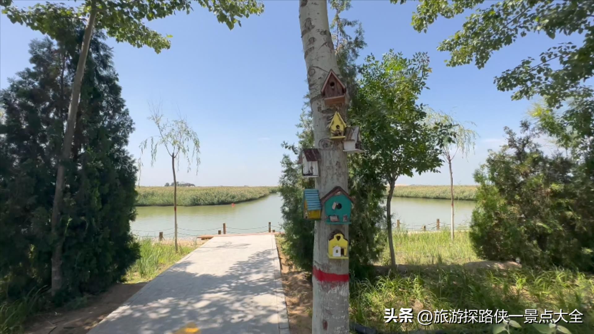 沙坡头VS沙湖旅游攻略_沙湖门票交通路线_宁夏沙湖生态旅游区门票