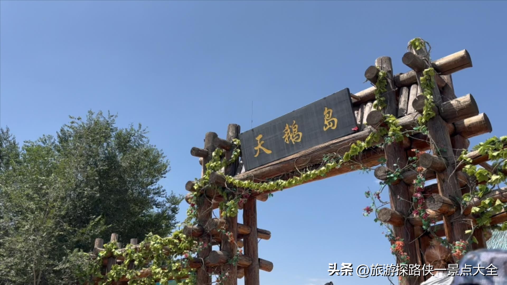 沙坡头VS沙湖旅游攻略_宁夏沙湖生态旅游区门票_沙湖门票交通路线