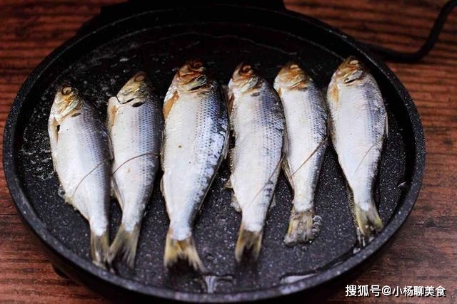 香煎海鲫鱼营养价值_海鲫鱼营养价值淡水鱼的种类图片_香煎海鲫鱼做法