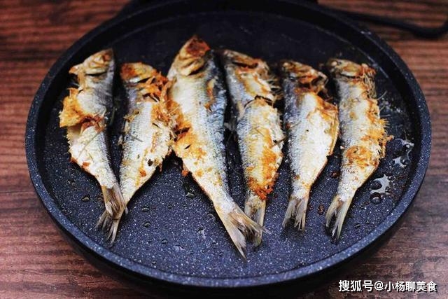 香煎海鲫鱼营养价值_香煎海鲫鱼做法_海鲫鱼营养价值淡水鱼的种类图片