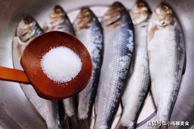 香煎海鲫鱼做法_海鲫鱼营养价值淡水鱼的种类图片_香煎海鲫鱼营养价值