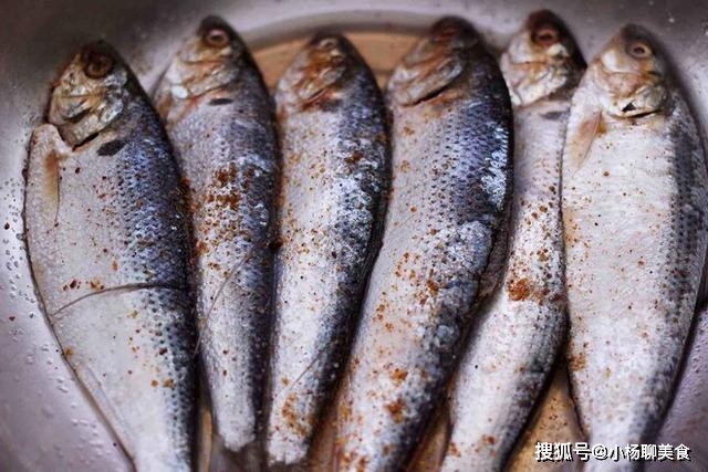 香煎海鲫鱼做法_香煎海鲫鱼营养价值_海鲫鱼营养价值淡水鱼的种类图片