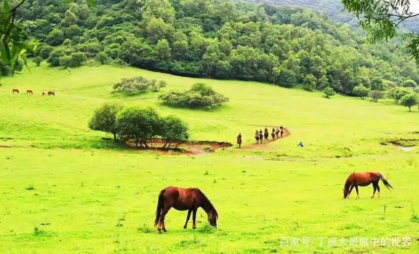 宝鸡旅游_宝鸡生态园林城市_宝鸡历史文化