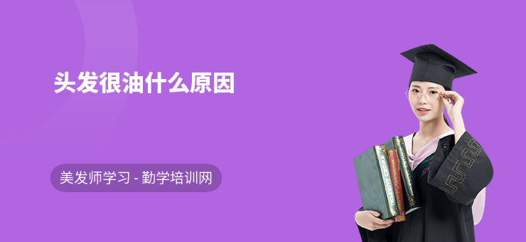 头发很油什么原因