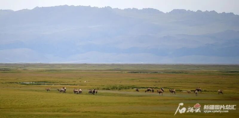 博斯腾湖流域_孔雀河起源地_博斯腾湖西东泵站