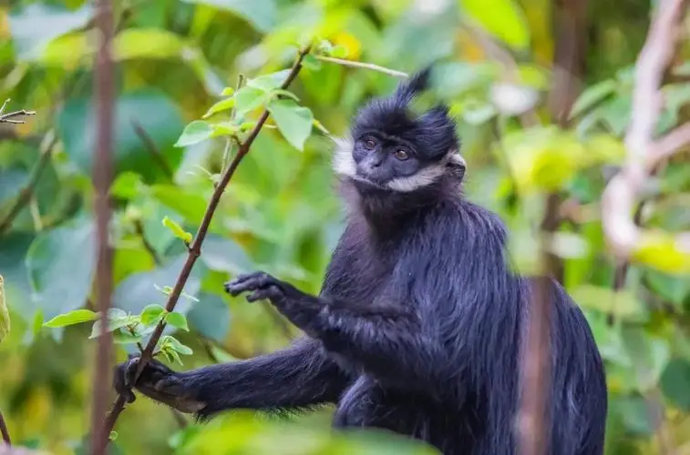 贵阳六盘水的旅游景点_乌蒙大草原必去景点_六盘水旅游攻略