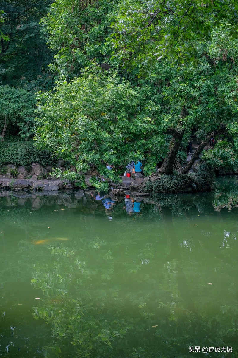 无锡什么地方好玩_鼋头渚秋日景观_无锡金秋旅游攻略