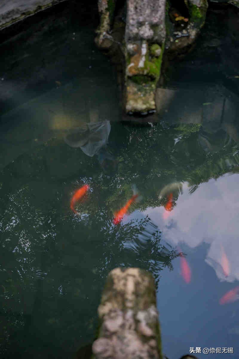 无锡金秋旅游攻略_鼋头渚秋日景观_无锡什么地方好玩