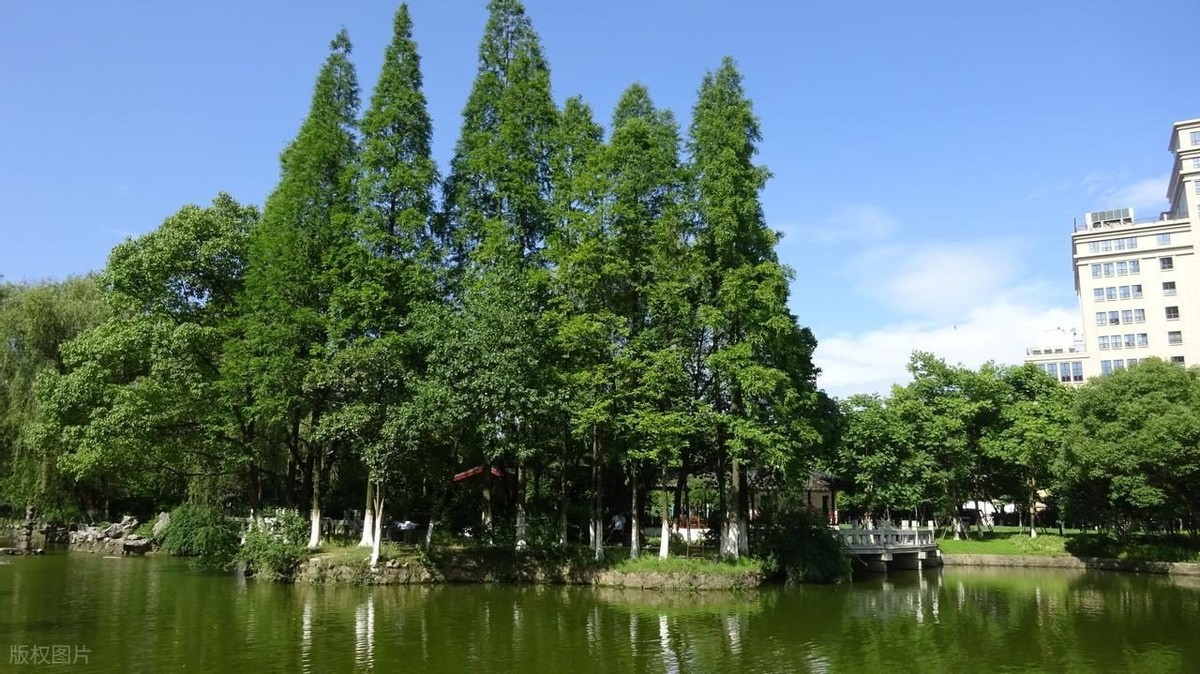 无锡踏春免费景点_蠡湖中央公园樱花_无锡什么地方好玩