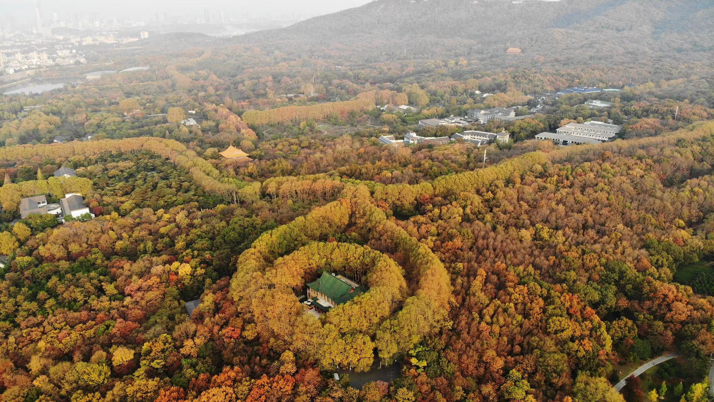 无锡什么地方好玩_南京钟山风景区推荐_江苏适合旅行的地方