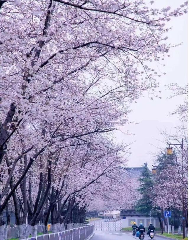 苏南自驾游_江苏春季旅游攻略_无锡什么地方好玩
