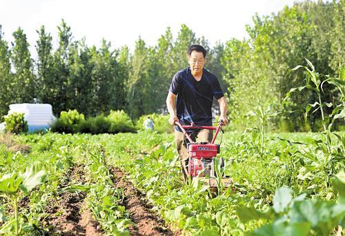 涿州市刁窝镇乡村重建_涿州白沟河治理工程_涿州槐林村改造么