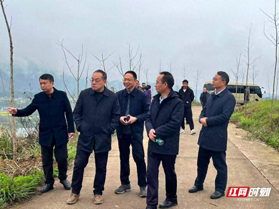 国土绿化督查_林业生态建设的意义_森林防火责任落实