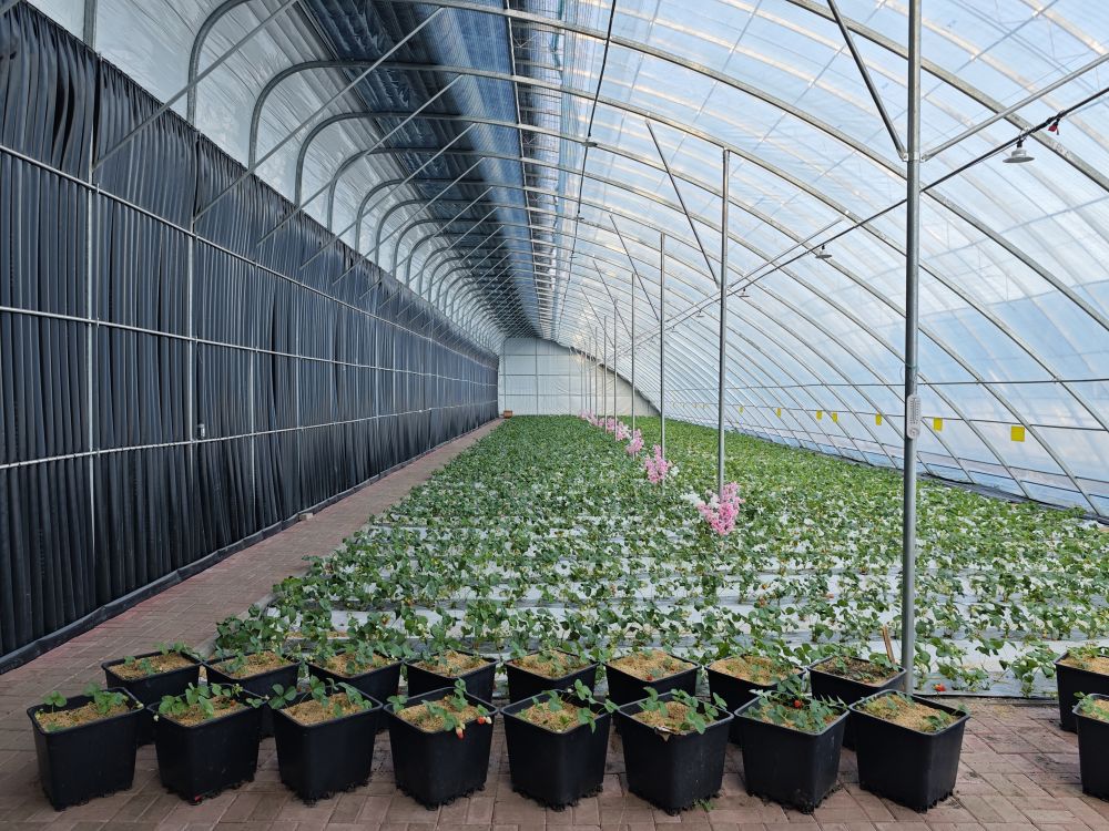 森林生态系统保护_国土绿化行动_林业生态建设的意义