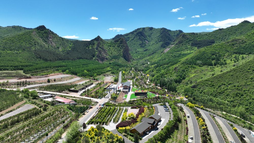 森林生态系统保护_林业生态建设的意义_国土绿化行动