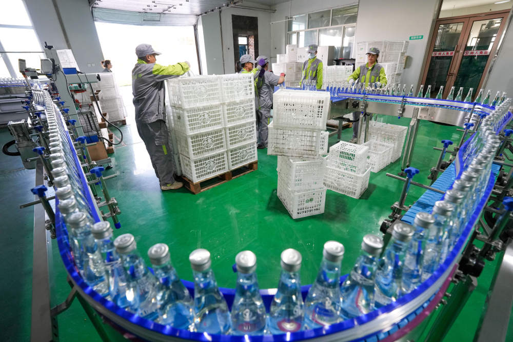 森林生态系统保护_林业生态建设的意义_国土绿化行动