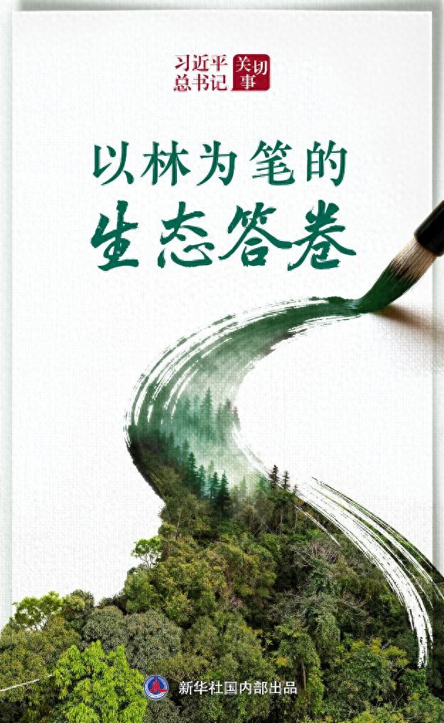 林业生态建设的意义_森林生态系统保护_国土绿化行动