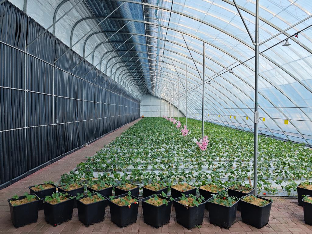 森林生态系统保护_林业生态建设的意义_国土绿化行动