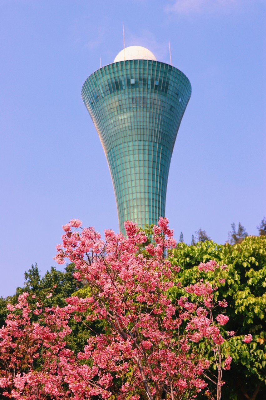 厦门狐尾山公园好玩吗？