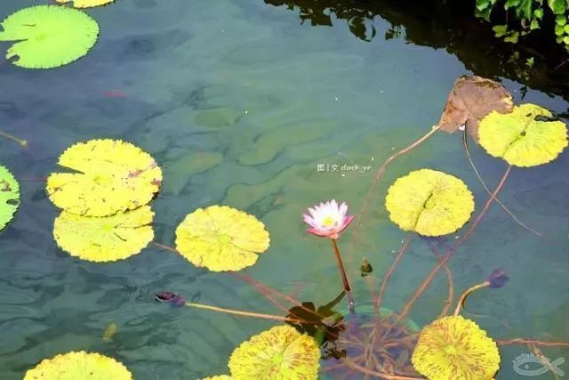 不走寻常路，12小时带你玩转不一样的厦门