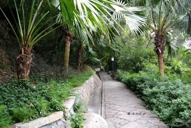 不走寻常路，12小时带你玩转不一样的厦门